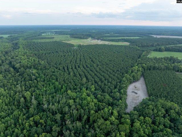 Land for sale in Ehrhardt, South Carolina