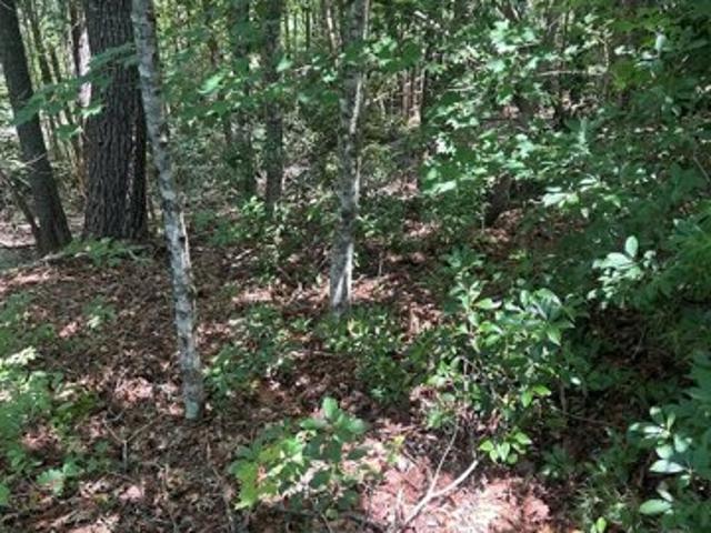Land for sale in Murphy