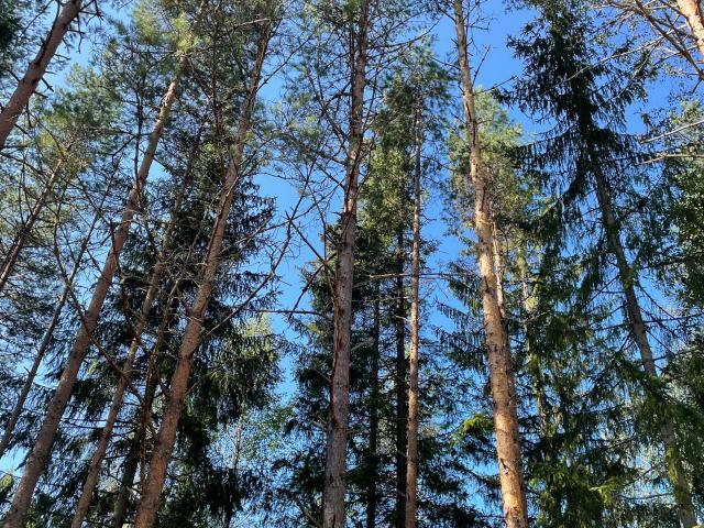 Bostad till salu i Värmland