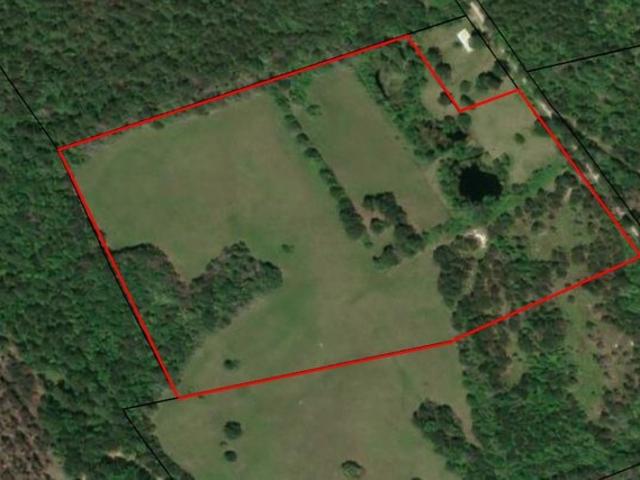 Land for sale in Apple Springs, Texas