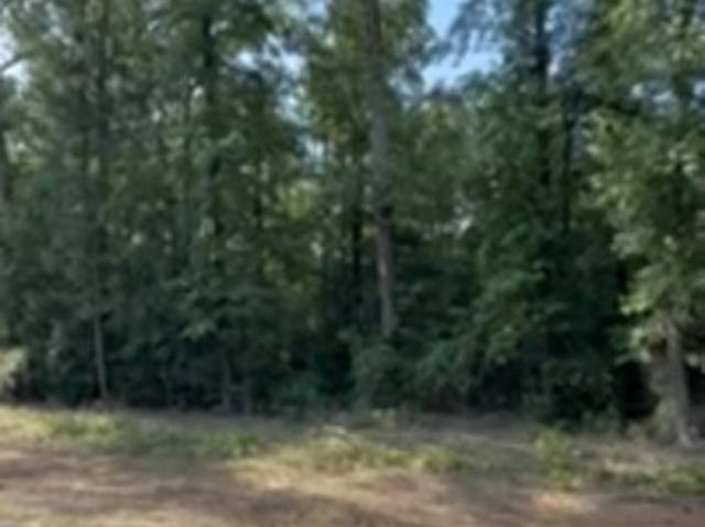 Land for sale in Choudrant, Louisiana