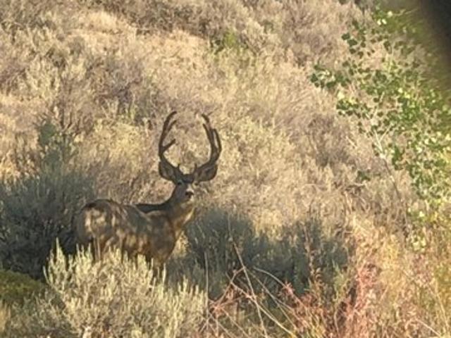 Farm for sale in La Plata, San Juan County