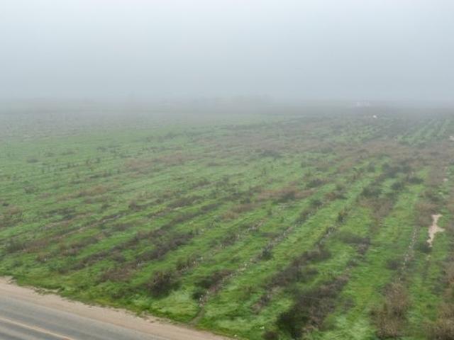 Farm for sale in Tulare, California