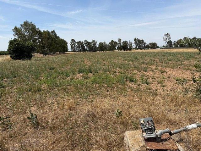 Land for sale in Chowchilla, California