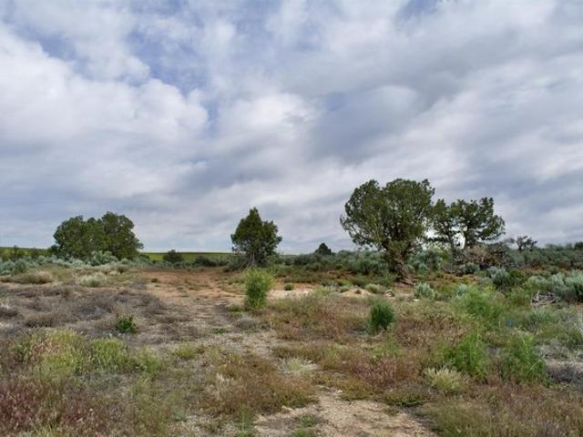Land for sale in Montezuma, Colorado