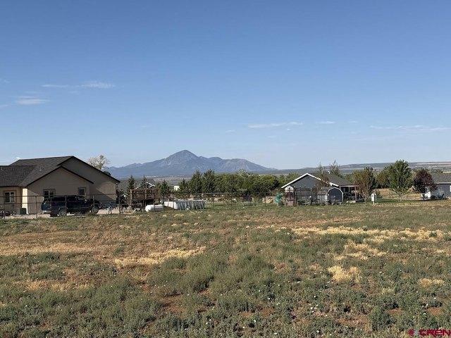 Land for sale in Dolores, Montezuma County