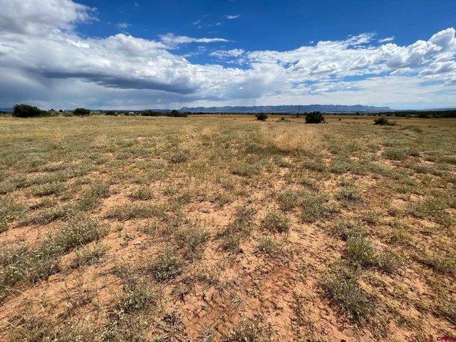 Land for sale in Montezuma, Colorado