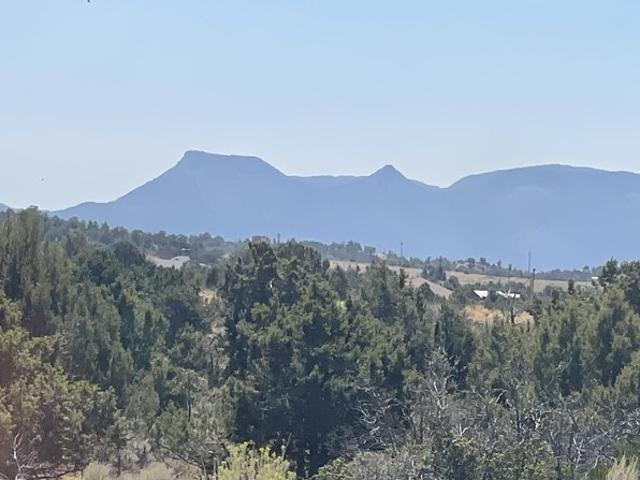 Land for sale in Dolores, Montezuma County