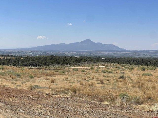 Land for sale in Dolores, Montezuma County