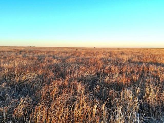 Land for sale in Holly, Colorado