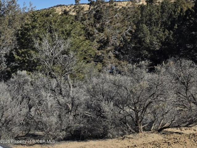 Land for sale in Aztec, New Mexico
