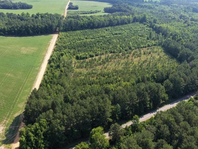 Land for sale in Lake View, South Carolina