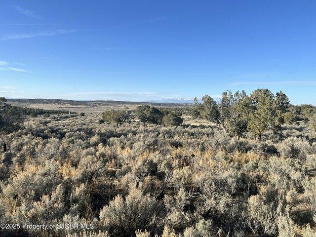 Land for sale in Aztec, New Mexico