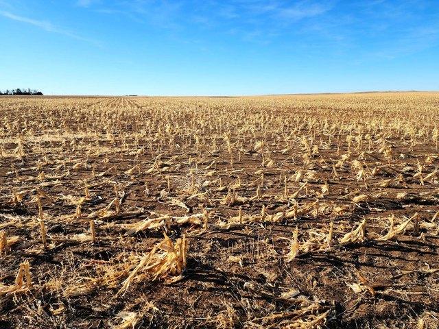 Land for sale in Nebraska