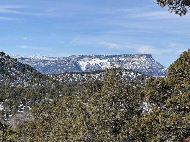 Land for sale in Montezuma, Colorado
