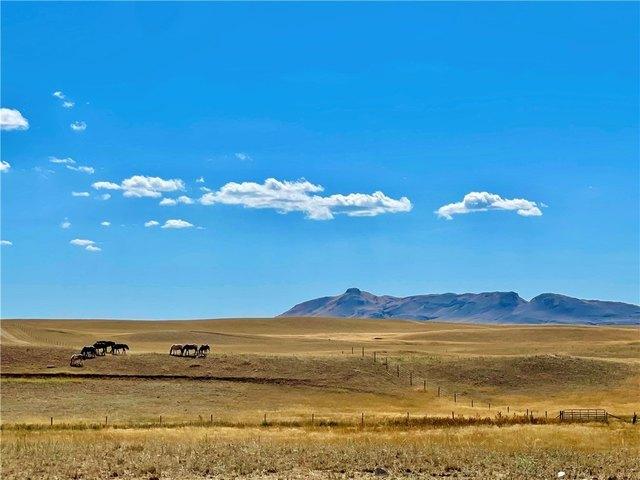 Land for sale in Havre, Montana