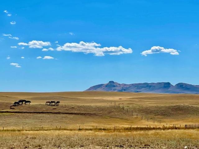 Land for sale in Havre, Montana
