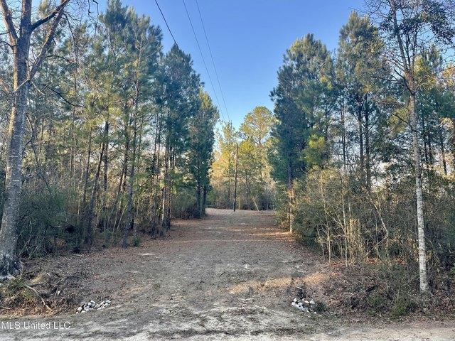 Land for sale in Saucier, Harrison County