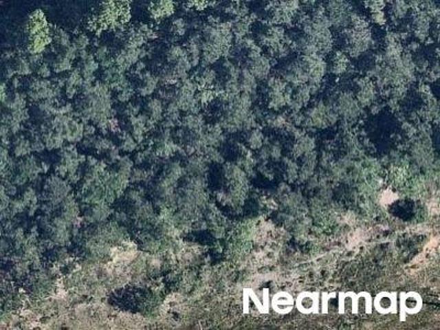 Land for sale in Cleveland, Liberty County