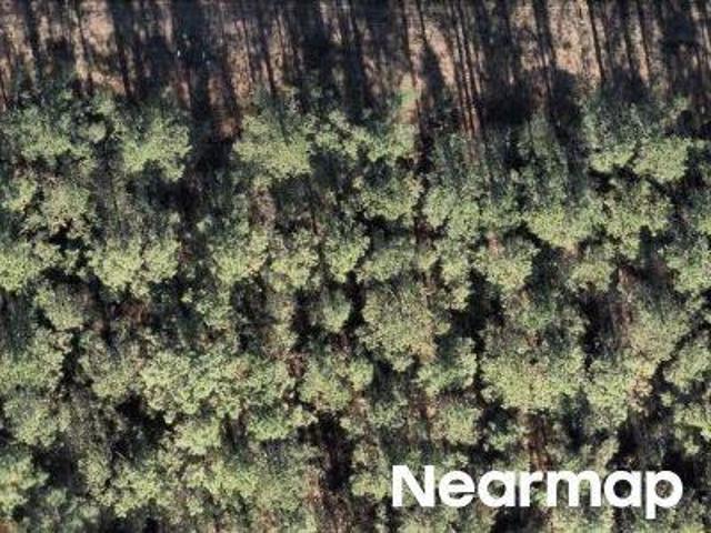Land for sale in Liberty, Texas