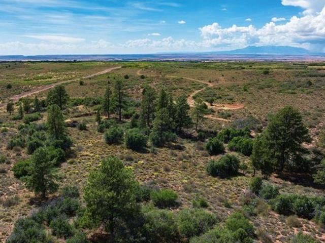Land for sale in Dove Creek, Dolores County