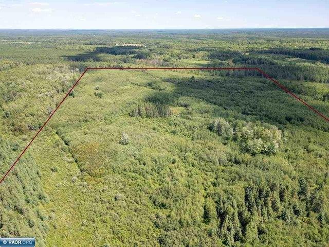 Land for sale in Cotton, Cotton Township