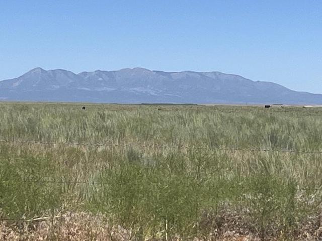 Land for sale in Dove Creek, Colorado