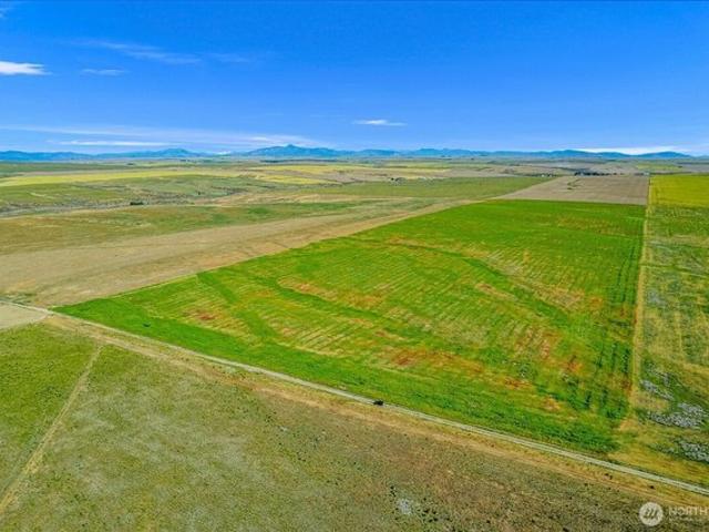Land for sale in Waterville, Washington
