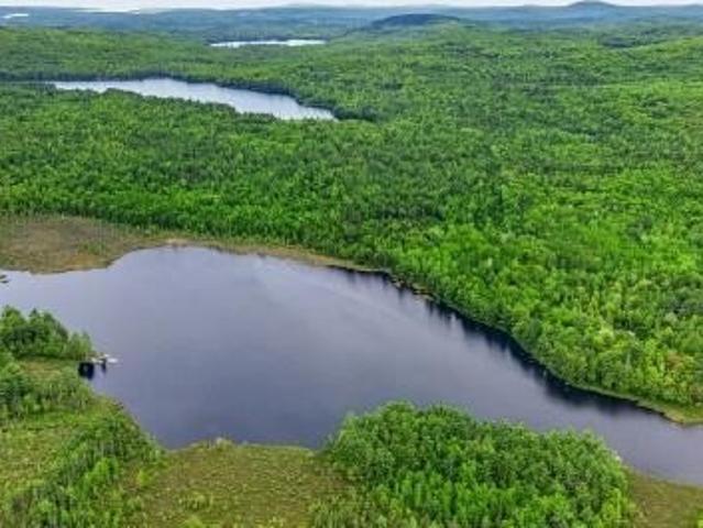 Land for sale in Bucksport, Maine
