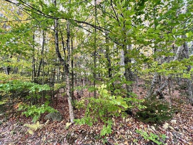 Land for sale in New Hampshire