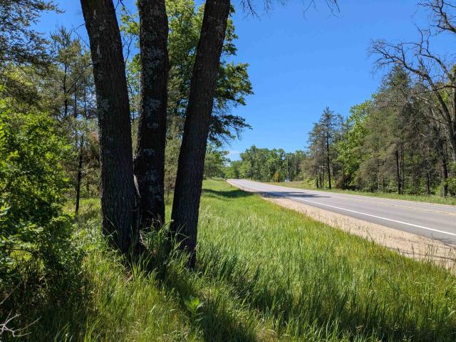 Land for sale in Bitely, Michigan