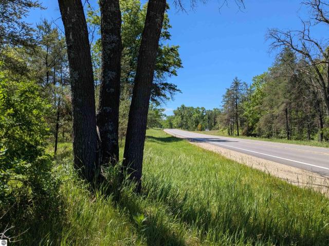 Land for sale in Bitely, Michigan