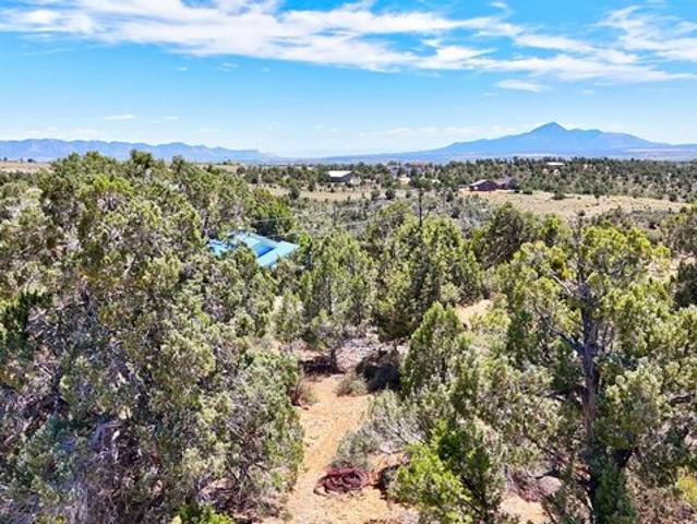 Land for sale in Montezuma, Colorado