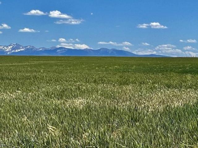 Land for sale in Montezuma, Colorado