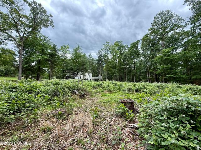 Land for sale in Paxinos, Pennsylvania