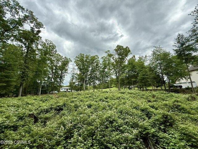 Land for sale in Paxinos
