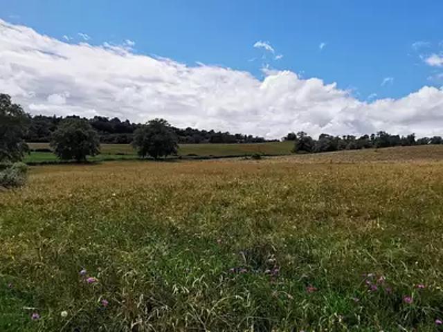 Terrain vente à France métropolitaine, Roanne