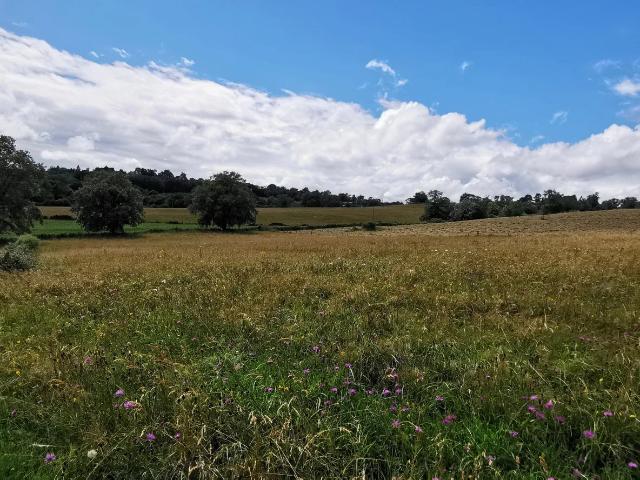 Terrain vente à Roanne