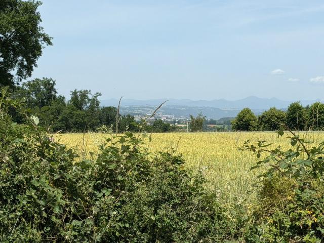 Terrain vente à Aurillac, Roannes-saint-mary