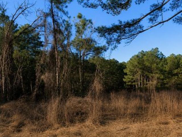 Land for sale in Littleton, North Carolina