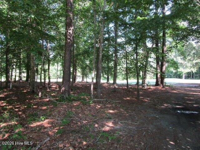 Land for sale in Hertford, North Carolina