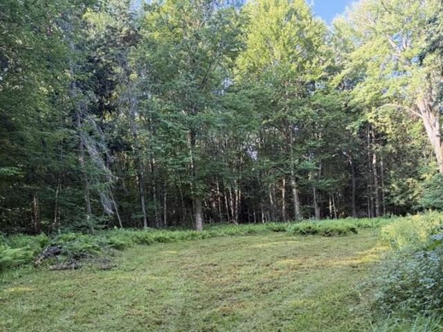 Land for sale in Barton, Vermont