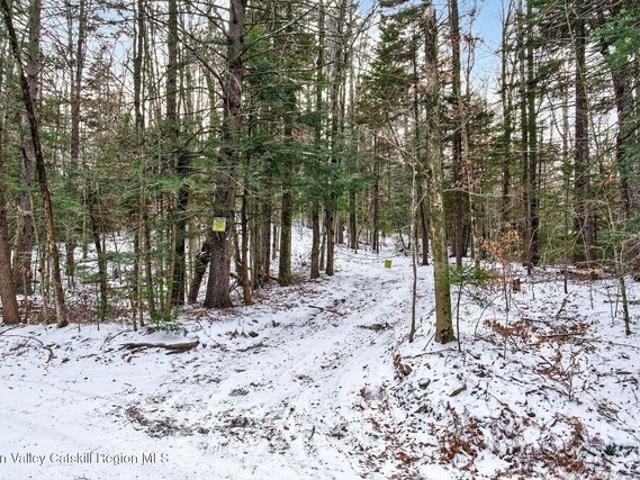 Land for sale in East Jewett, New York
