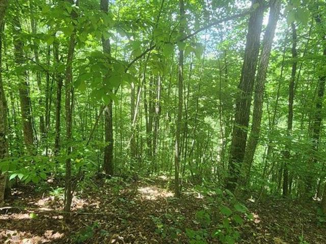 Land for sale in Hiawassee, Georgia