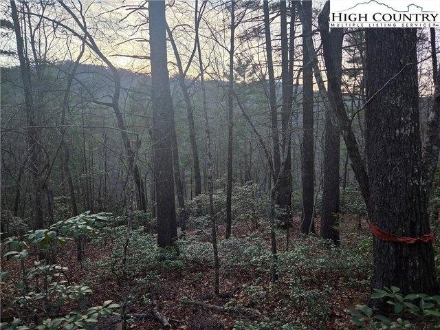 Land for sale in North Carolina