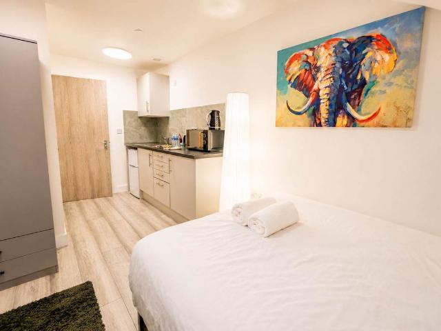 Apartment for rent in Plasnewydd, Falcon Lodge