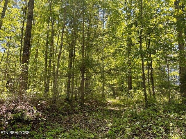 Land for sale in Tennessee