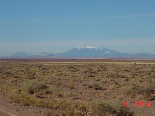 Land for sale in Navajo, Arizona