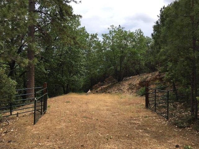 Land for sale in Colfax, California