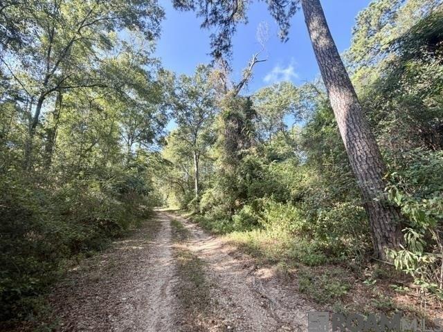 Land for sale in Franklinton, Louisiana
